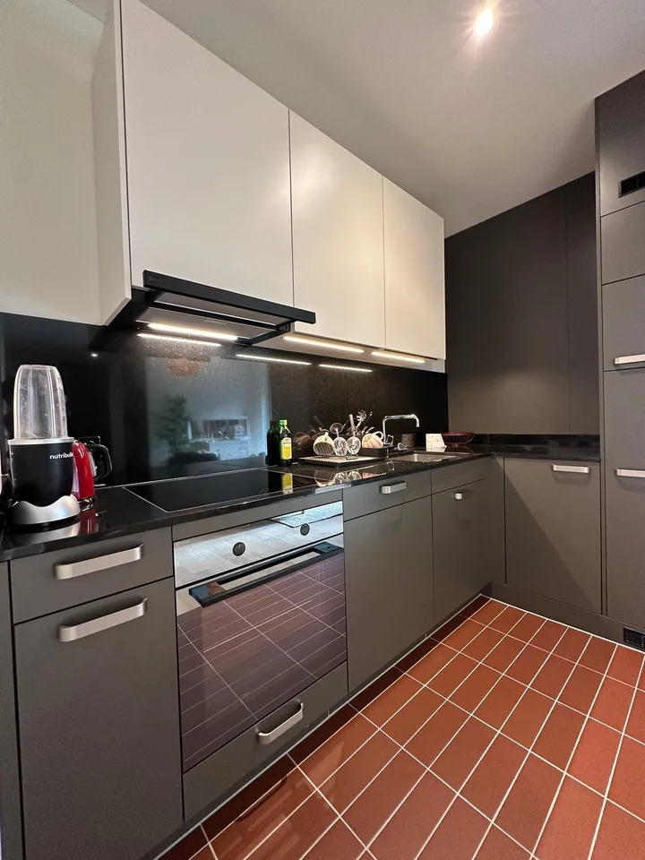 Private - Brand New 2.5 apt in Zurich Manegg start ASAP