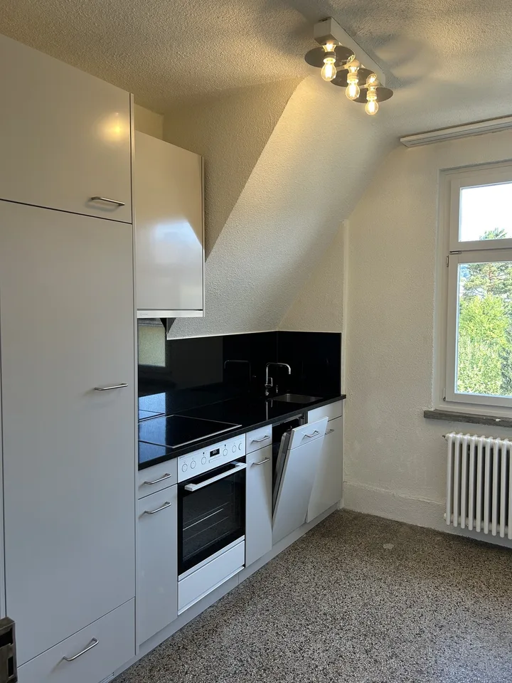 Wohnung in nächster Nähe der Spitäler Balgrist und dem Kinderspital