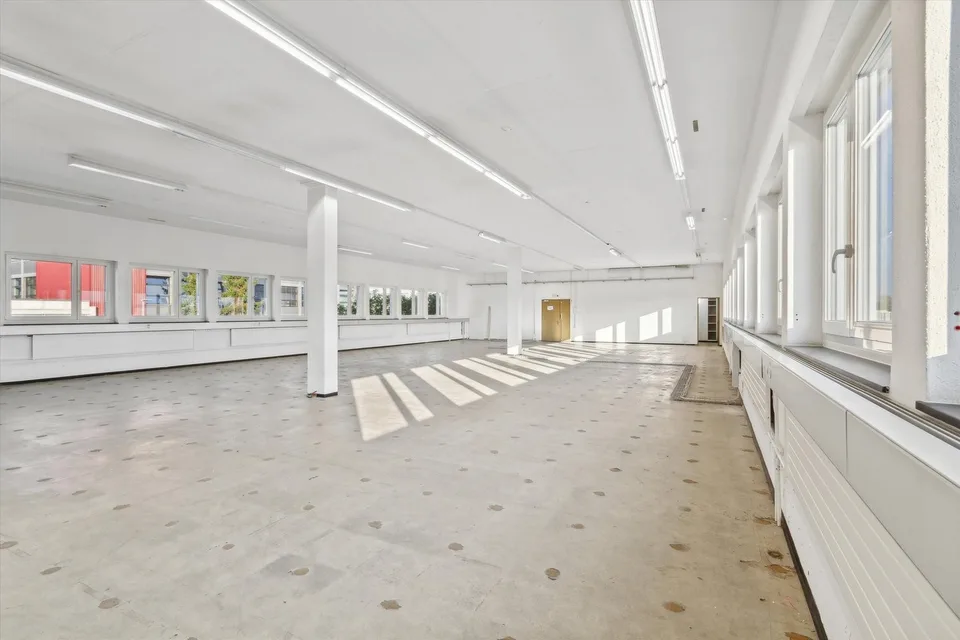Ihr neues Büro in der nähe vom Greifensee?