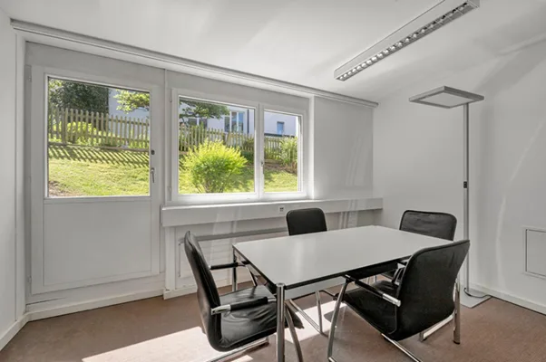 Short Term Office Space in Witikon