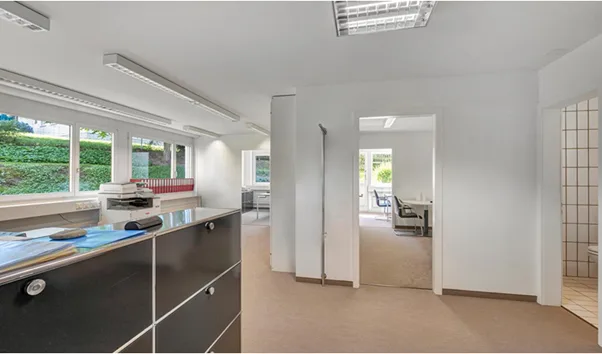 Short Term Office Space in Witikon