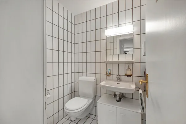 Short Term Office Space in Witikon