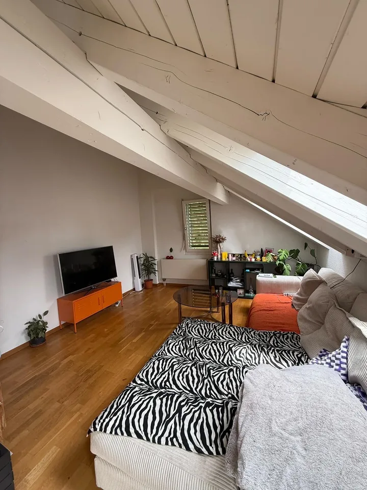 Idyllische Dachwohnung