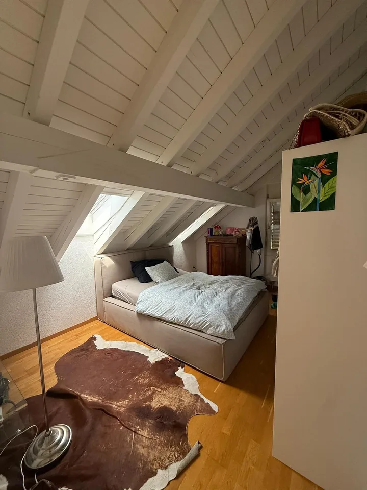 Idyllische Dachwohnung
