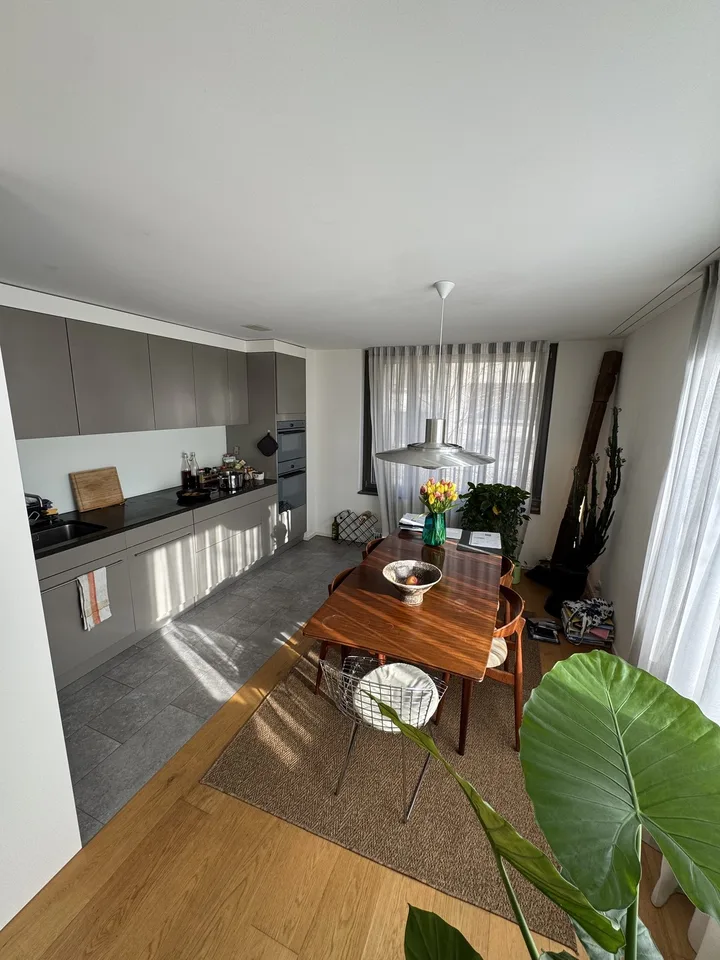 Witikon 2 1/5 apartment
