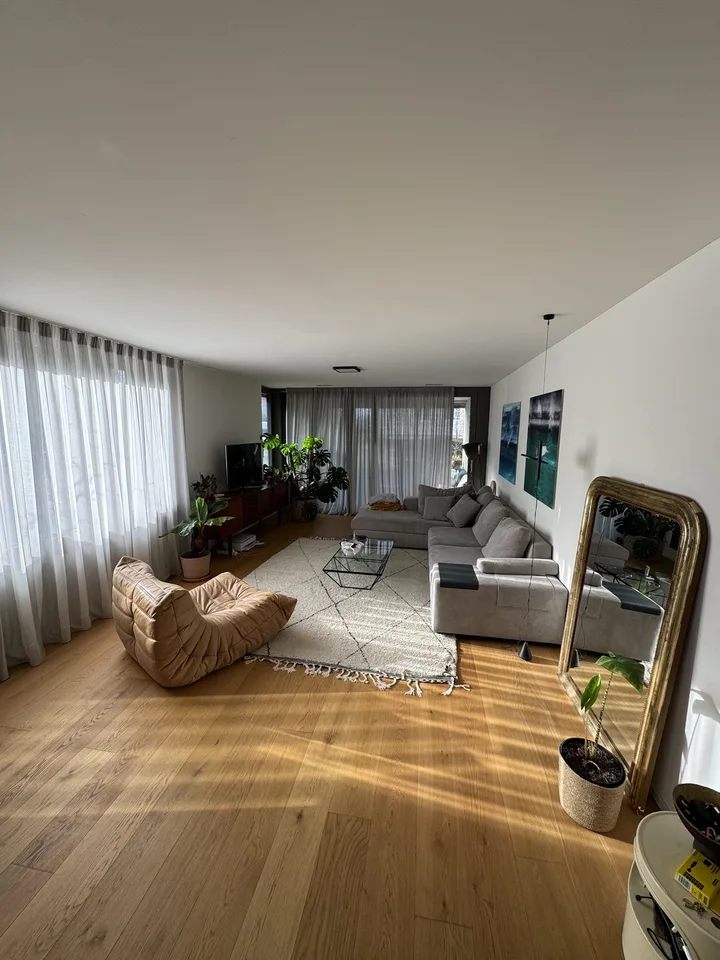 Witikon 2 1/5 apartment
