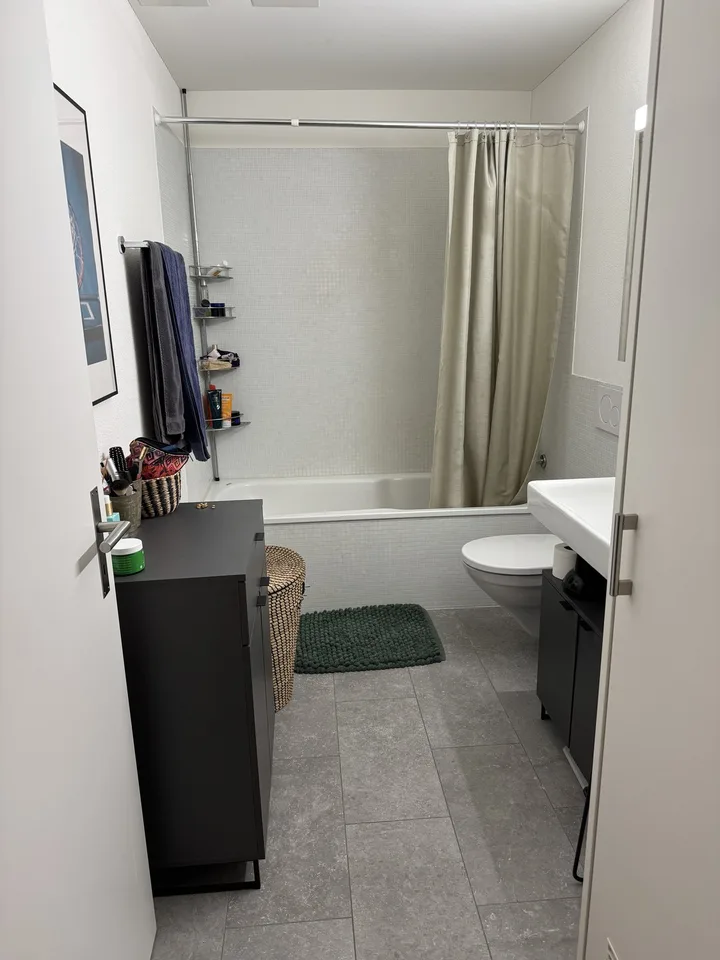 Witikon 2 1/5 apartment