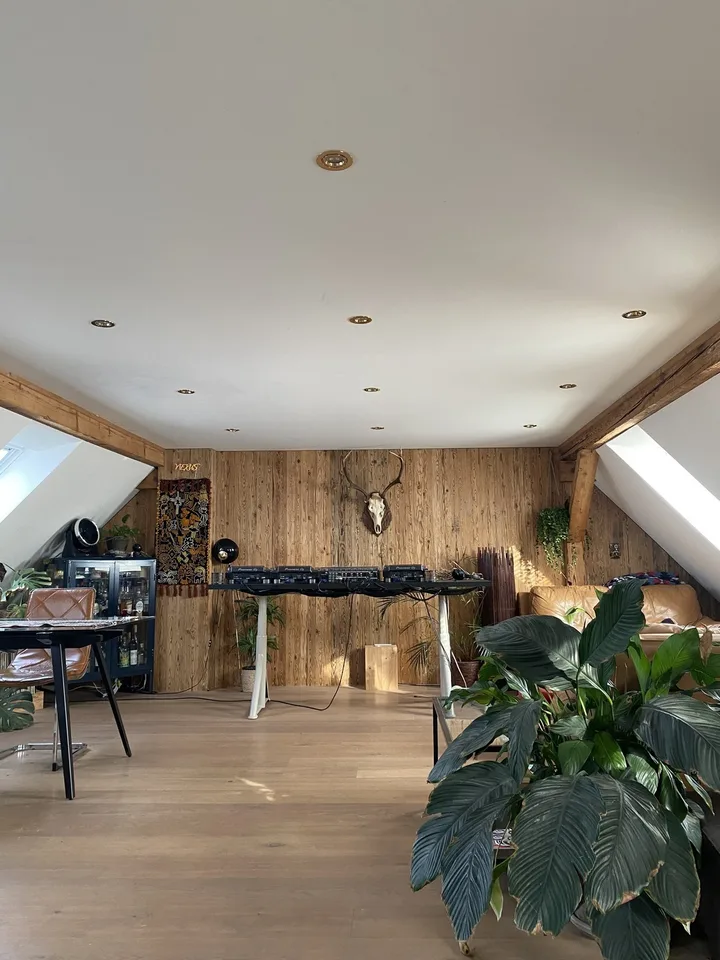 Room in shared penthouse apartment with private rooftop
