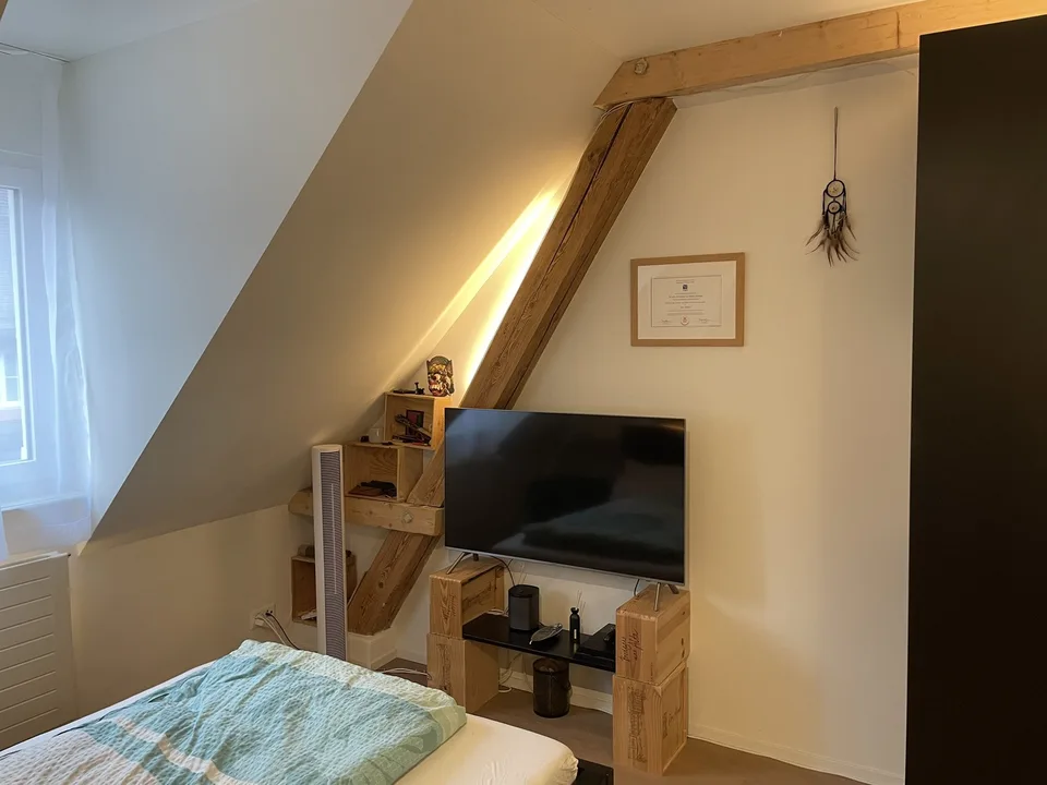 Room in shared penthouse apartment with private rooftop