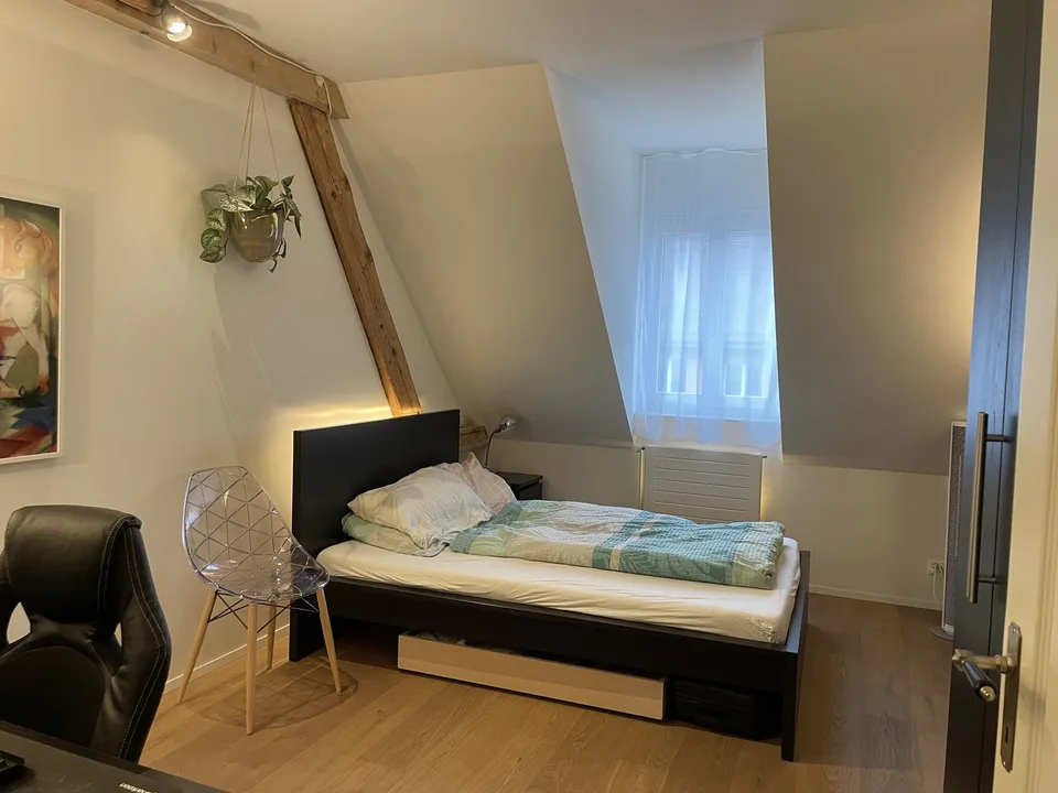 Room in shared penthouse apartment with private rooftop
