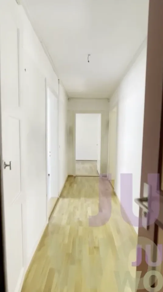 Wiedikon JUWO WG