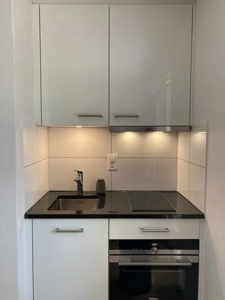 Furnished studio with garden in the centre of Zürich