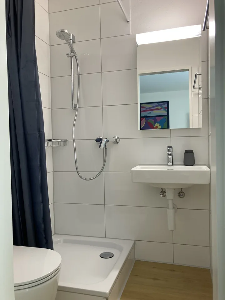 Furnished studio with garden in the centre of Zürich