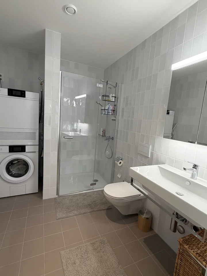 Beautiful apartment for short term sublet — Wollishofen, Zurich