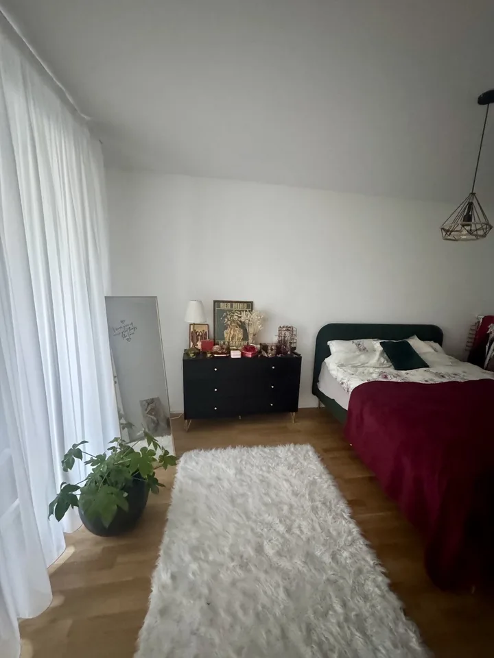 Modern Furnished 2.5-Room Apartment in Alt-Wiedikon (Short-Term)
