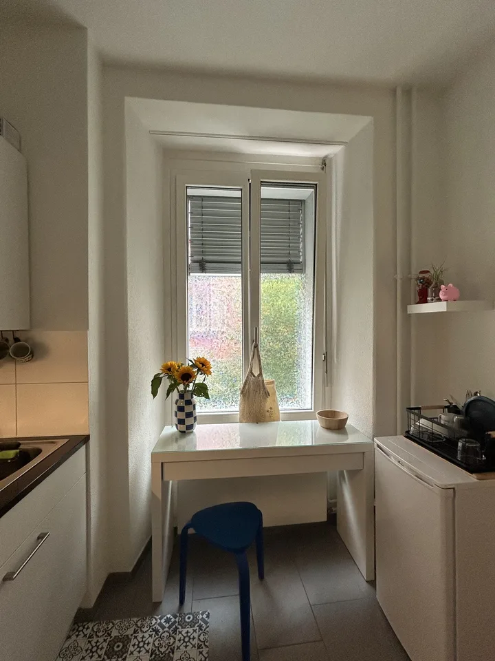Charming apartment in the heart of wiedikon