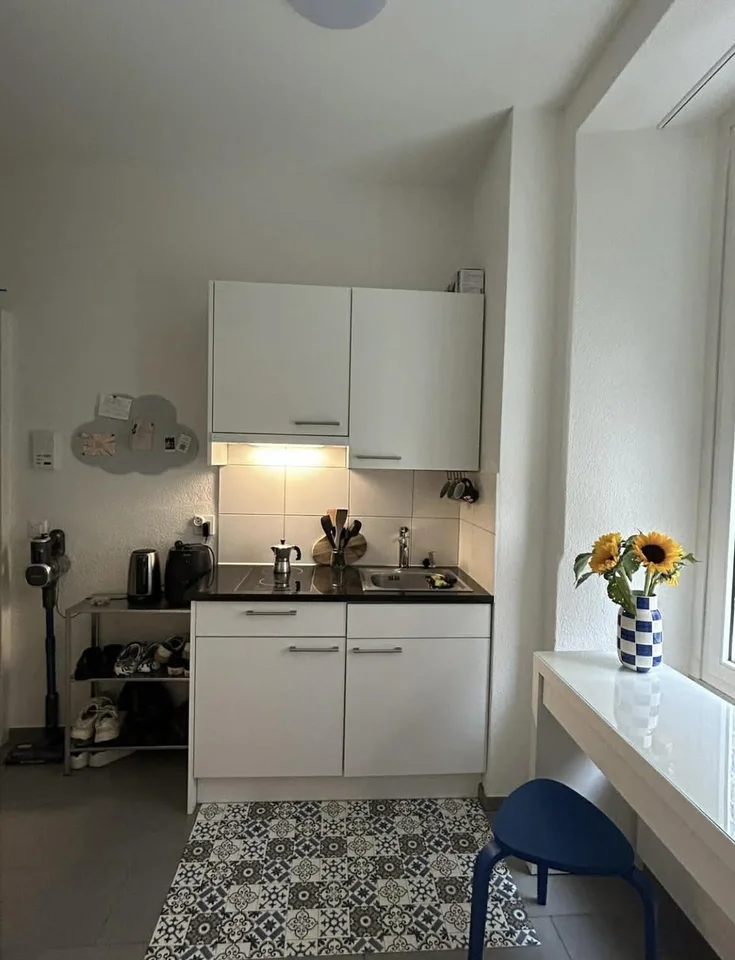 Charming apartment in the heart of wiedikon