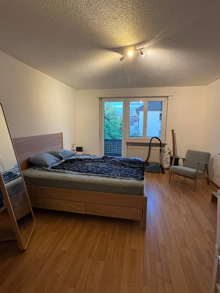1-room apartment in Zurich Friesenberg