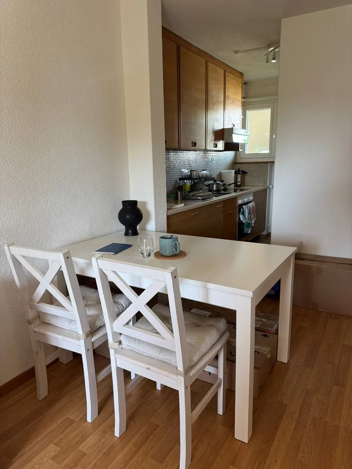1-room apartment in Zurich Friesenberg