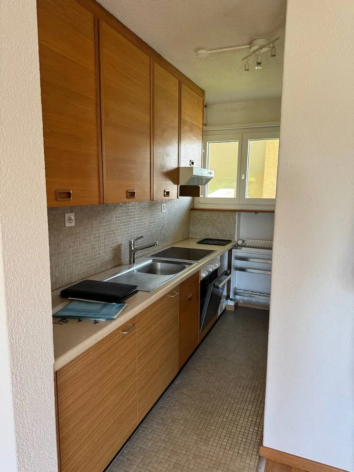 1-room apartment in Zurich Friesenberg