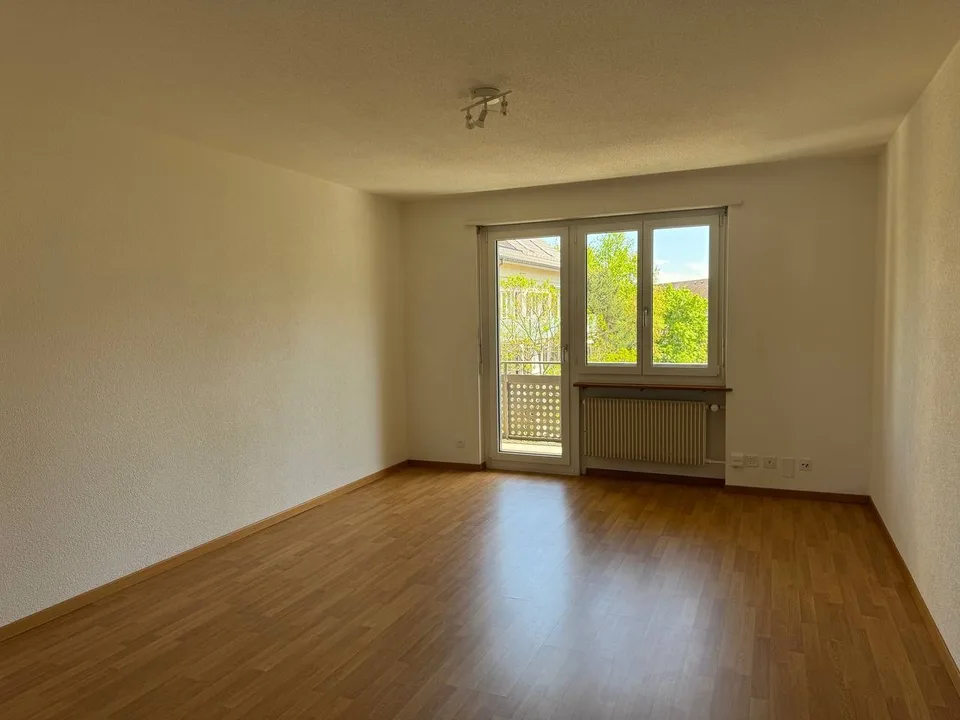 1-room apartment in Zurich Friesenberg
