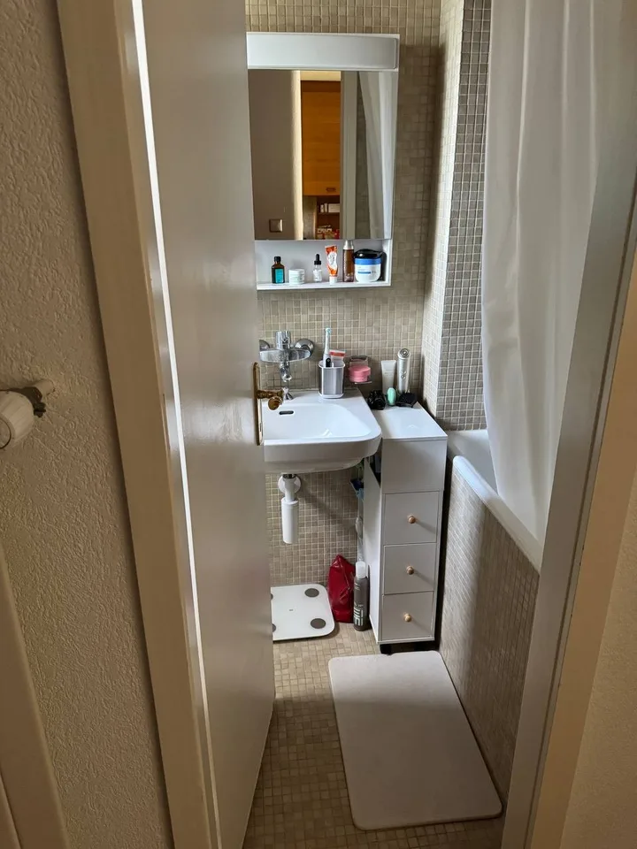 1-room apartment in Zurich Friesenberg