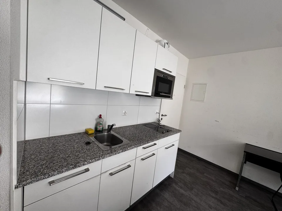 Lochergut apartment