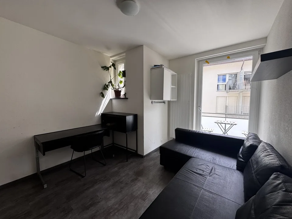 Lochergut apartment