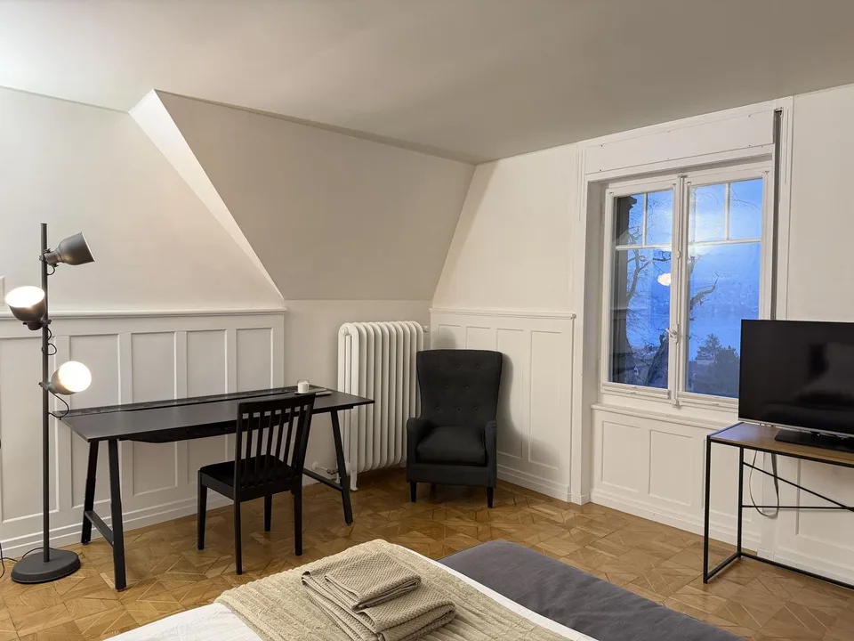 Upscale Temporary Flat in Rüschlikon