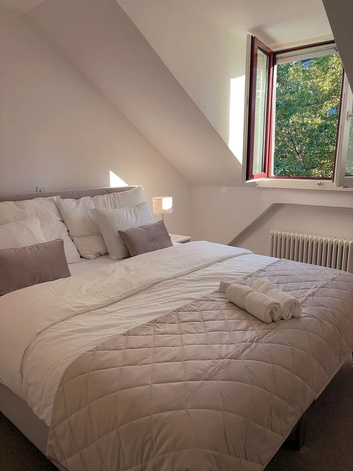 Helle 2.5 Wohnung am Helvetiaplatz in Zürich zu vermieten