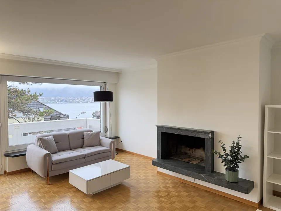 Furnished Student and Expat Housing in Zollikon