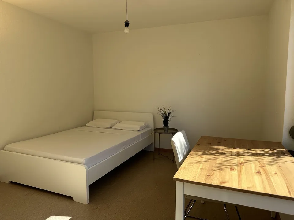 Furnished Student and Expat Housing in Zollikon