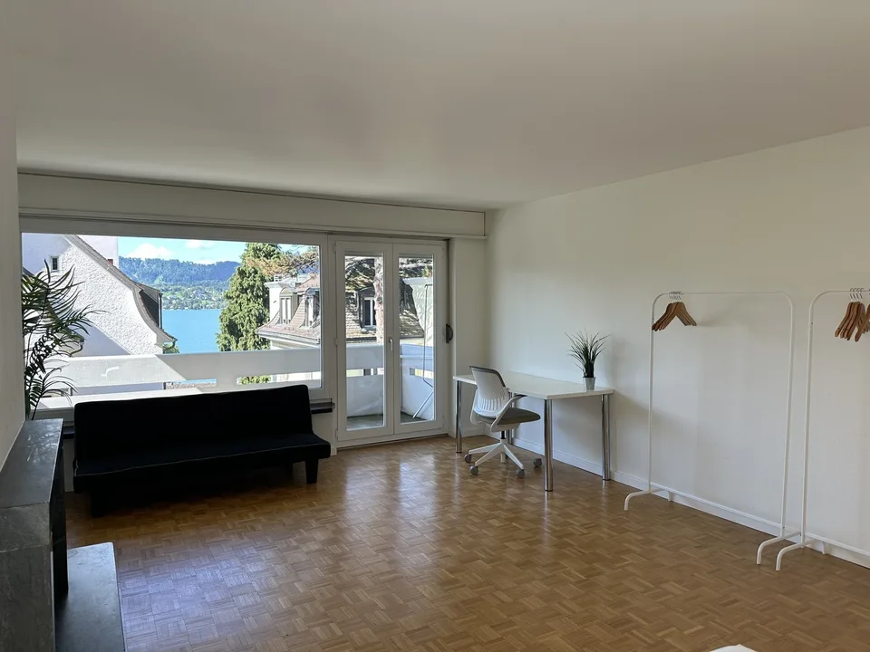 Furnished Student and Expat Housing in Zollikon