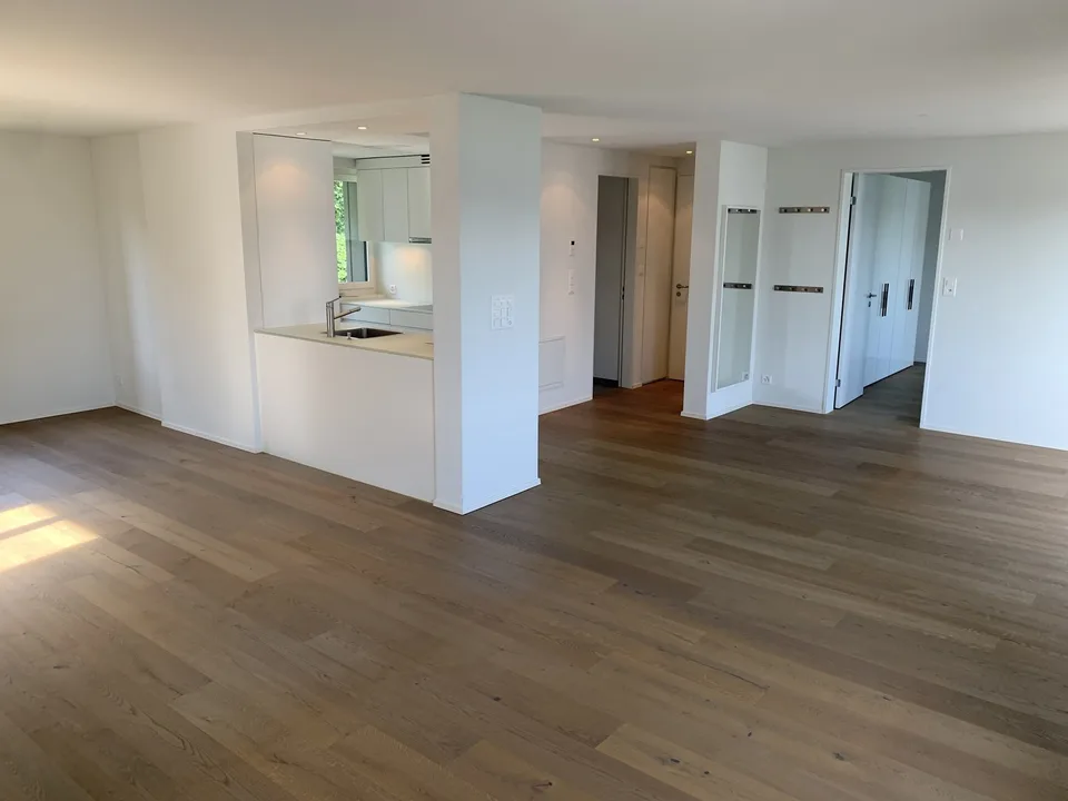 Beautiful 2.5-Room Apartment with Lake Views