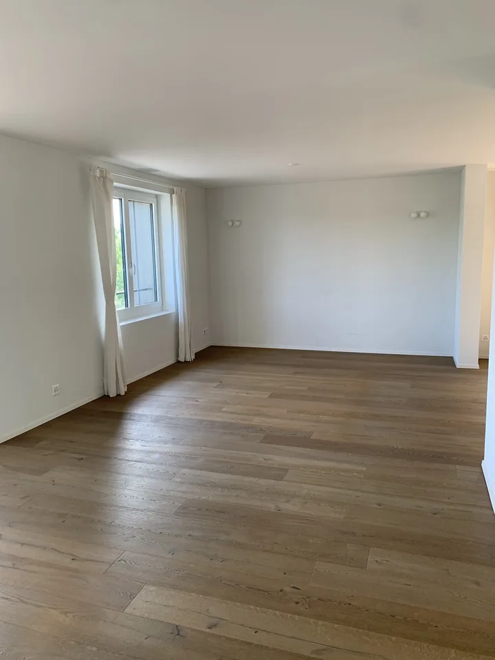 Beautiful 2.5-Room Apartment with Lake Views