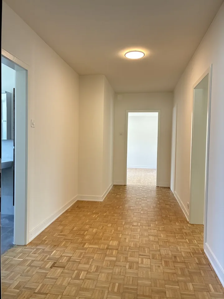 Erstvermietung- Frisch sanierte 4.Zimmer-Wohnung in Wollishofen