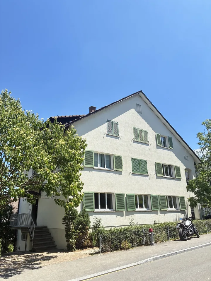 Erstvermietung- Frisch sanierte 4.Zimmer-Wohnung in Wollishofen