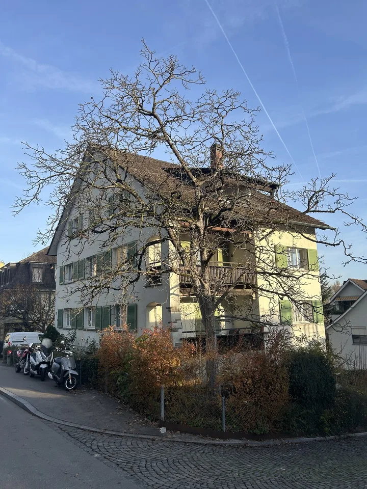 Erstvermietung- Frisch sanierte 4.Zimmer-Wohnung in Wollishofen