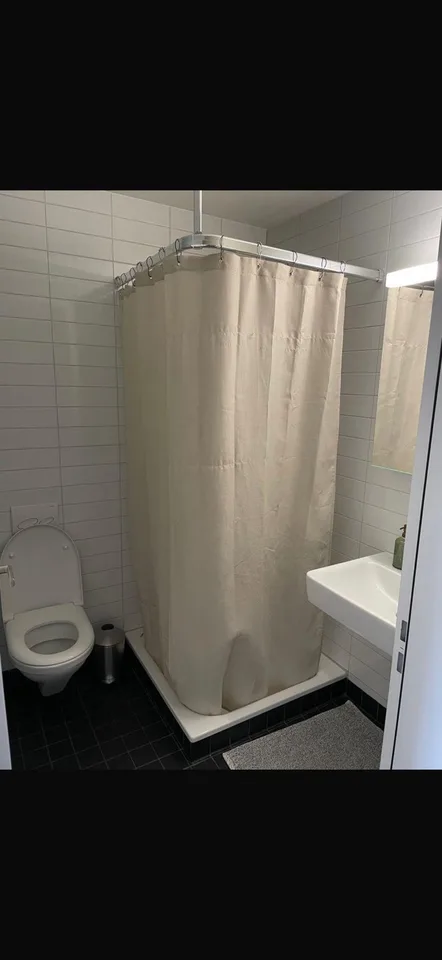 Room for Rent in a 4.5 Shared Flat