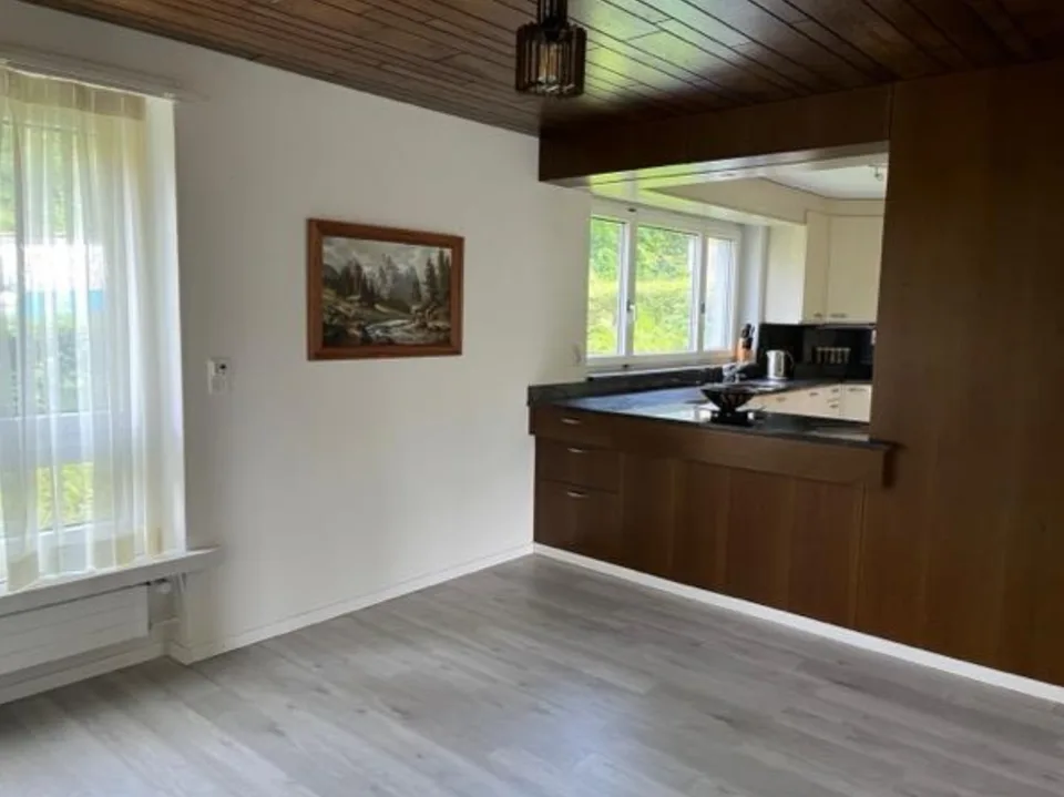 Grosse 4.5Z Wohnung mit Cheminée und Limmatblick