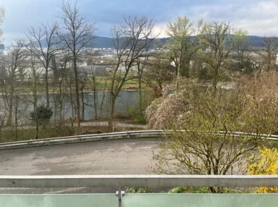 Grosse 4.5Z Wohnung mit Cheminée und Limmatblick