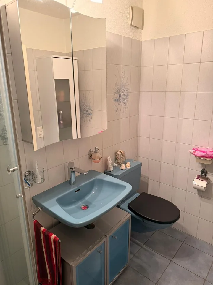Kelleräcker 23, 8967 Widen - CHF 690 inkl. NK pro Monat