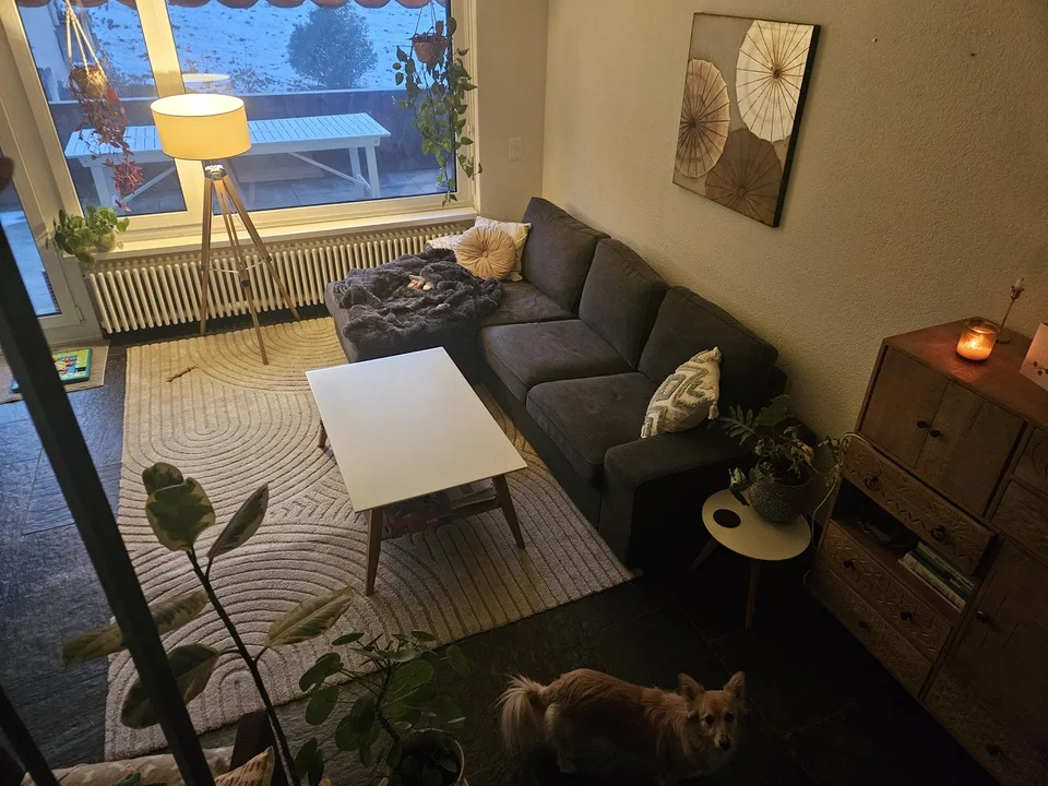 Spacious apt in quiet Affoltern