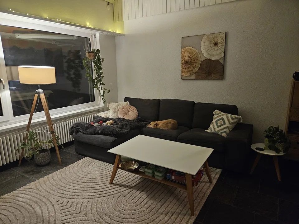 Spacious apt in quiet Affoltern
