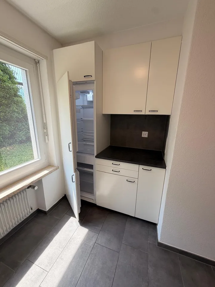 Helle 4.5-Zimmer-Wohnung im Erdgeschoss mit grossem Balkon und Blick ins Grüne