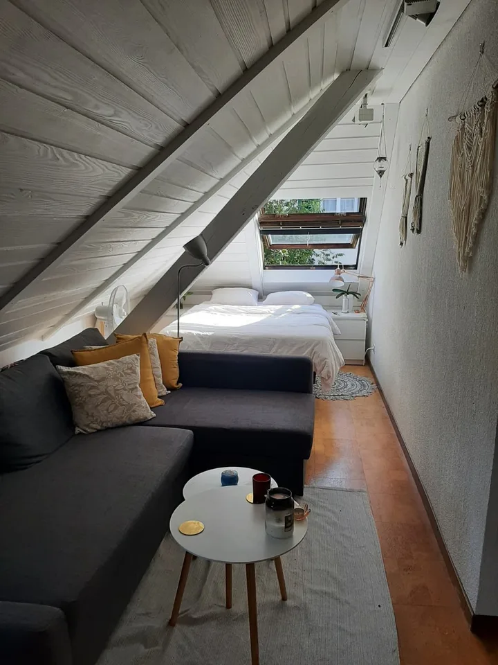 Sunny Room in large Hoengg Flatshare