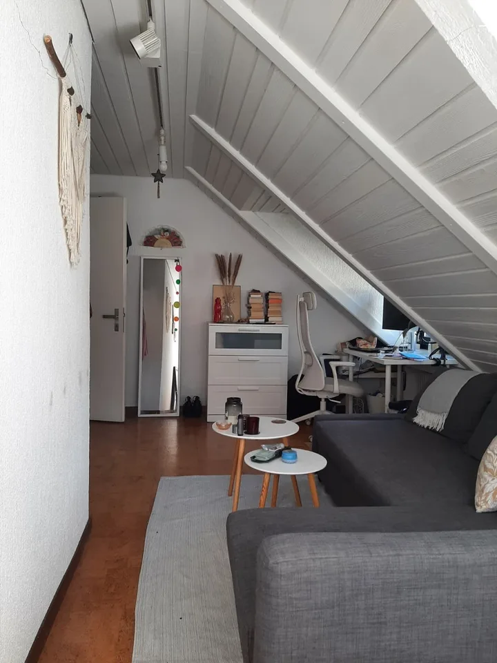 Sunny Room in large Hoengg Flatshare