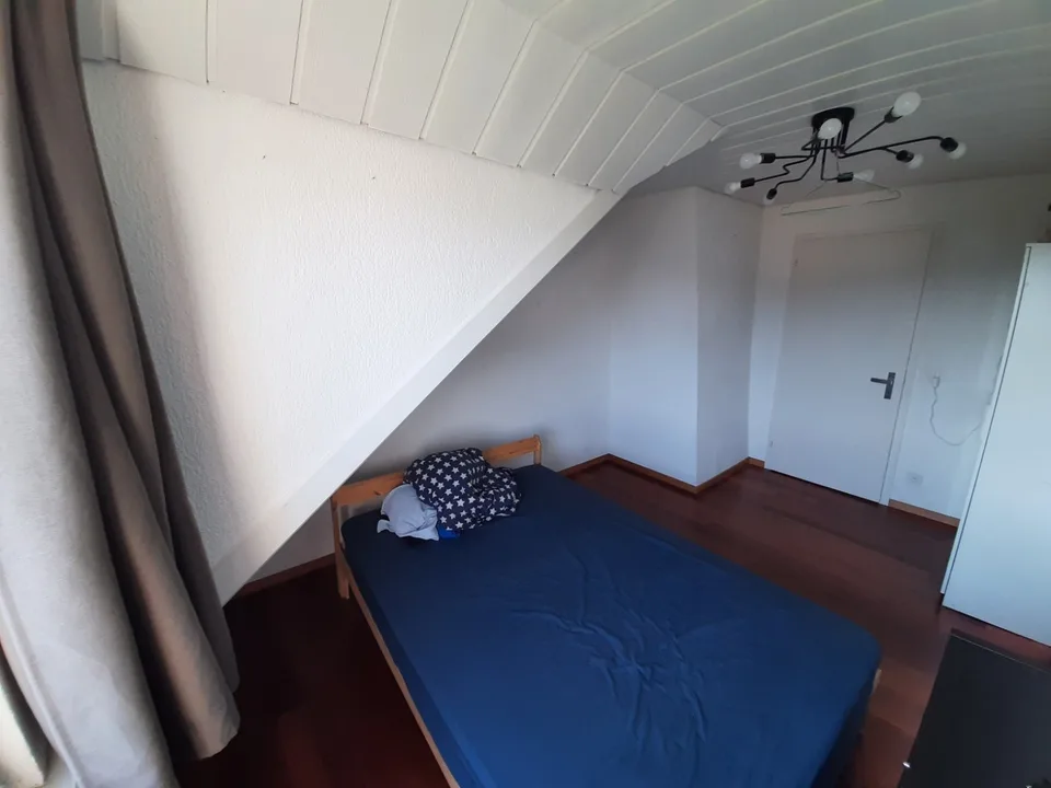 Sunny Room with view in Flatshare