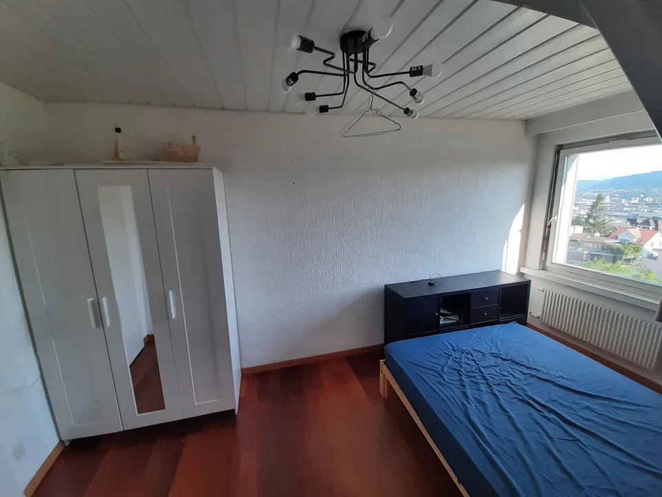 Sunny Room with view in Flatshare
