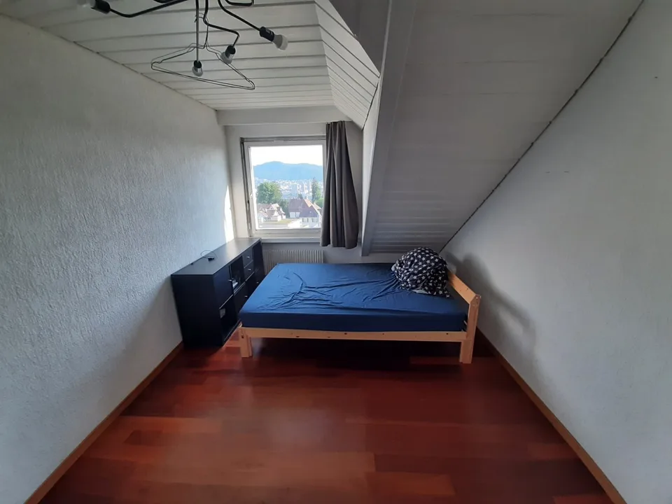 Sunny Room with view in Flatshare
